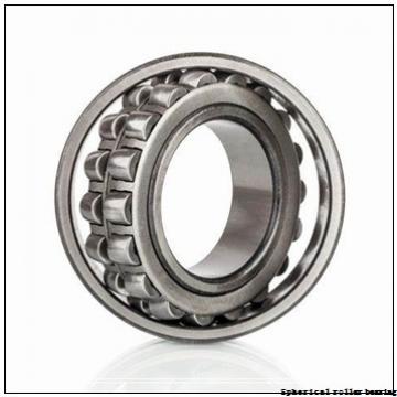 230/1120X2CAF3/ Spherical roller bearing