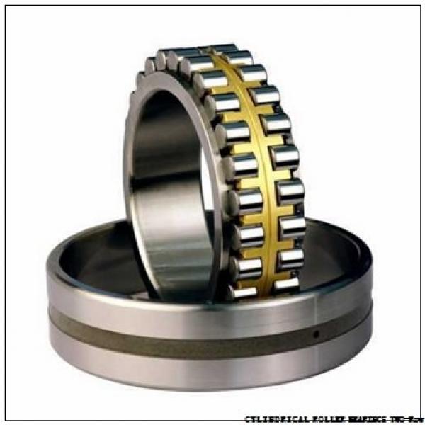 NNU4968MAW33 NNU4964MAW33 CYLINDRICAL ROLLER BEARINGS TWO-Row #3 image