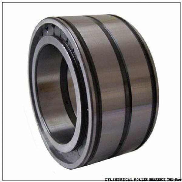 NNU4968MAW33 NNU4964MAW33 CYLINDRICAL ROLLER BEARINGS TWO-Row #1 image